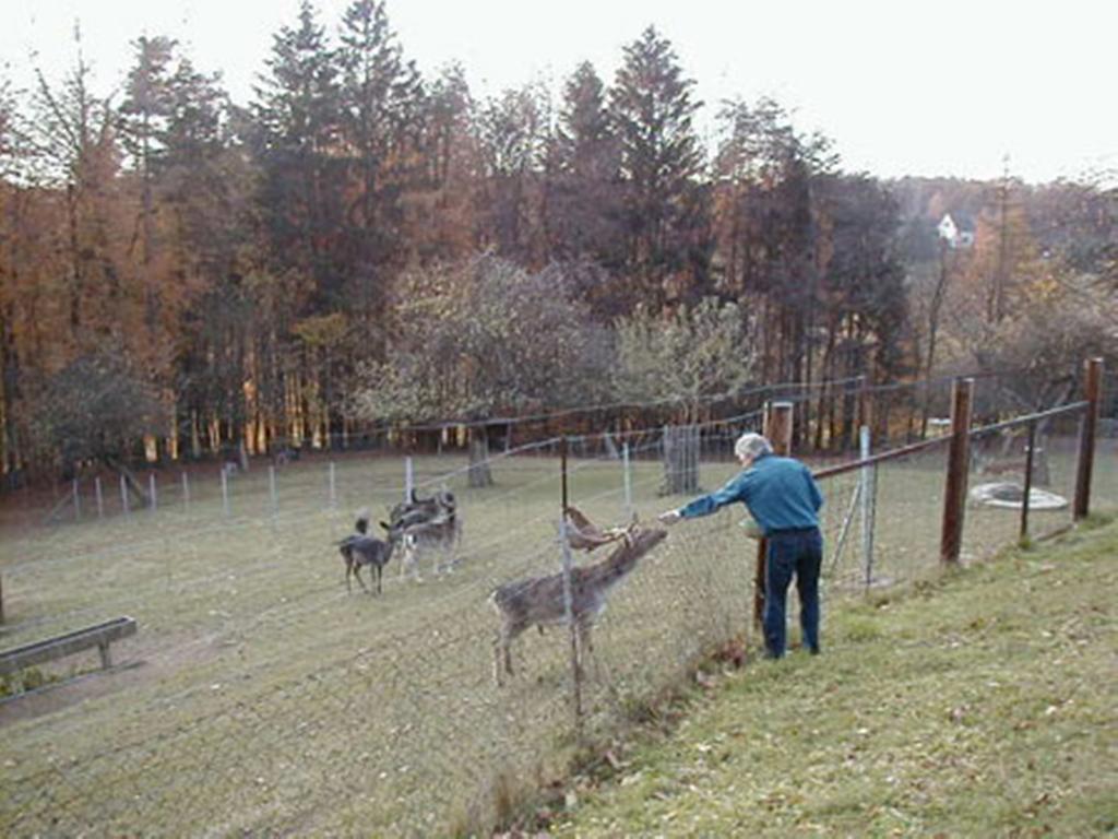 Pension Weber Jennersdorf Zewnętrze zdjęcie